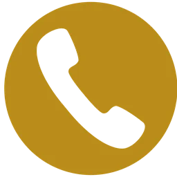 Phone Icon